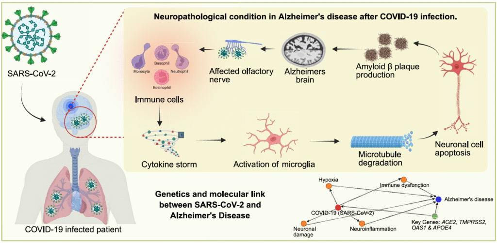 COVID-19_Alzheimers