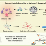 Intersection of COVID-19 and Alzheimer’s Disease: Genetic Insights and Neuropathological Consequences