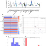 Circulating miR-542-3p as a Prognostic Marker for Hepatocellular Carcinoma: A Systematic Review and Meta-Analysis