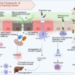 Gut microbiota-mediated oncogenesis in hepatocellular carcinoma: a new avenue for therapeutic intervention