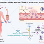 Infectious Triggers and Immune Dynamics in Guillain–Barré Syndrome: Revisiting Campylobacter jejuni and the Silent Role of Haemophilus influenzae