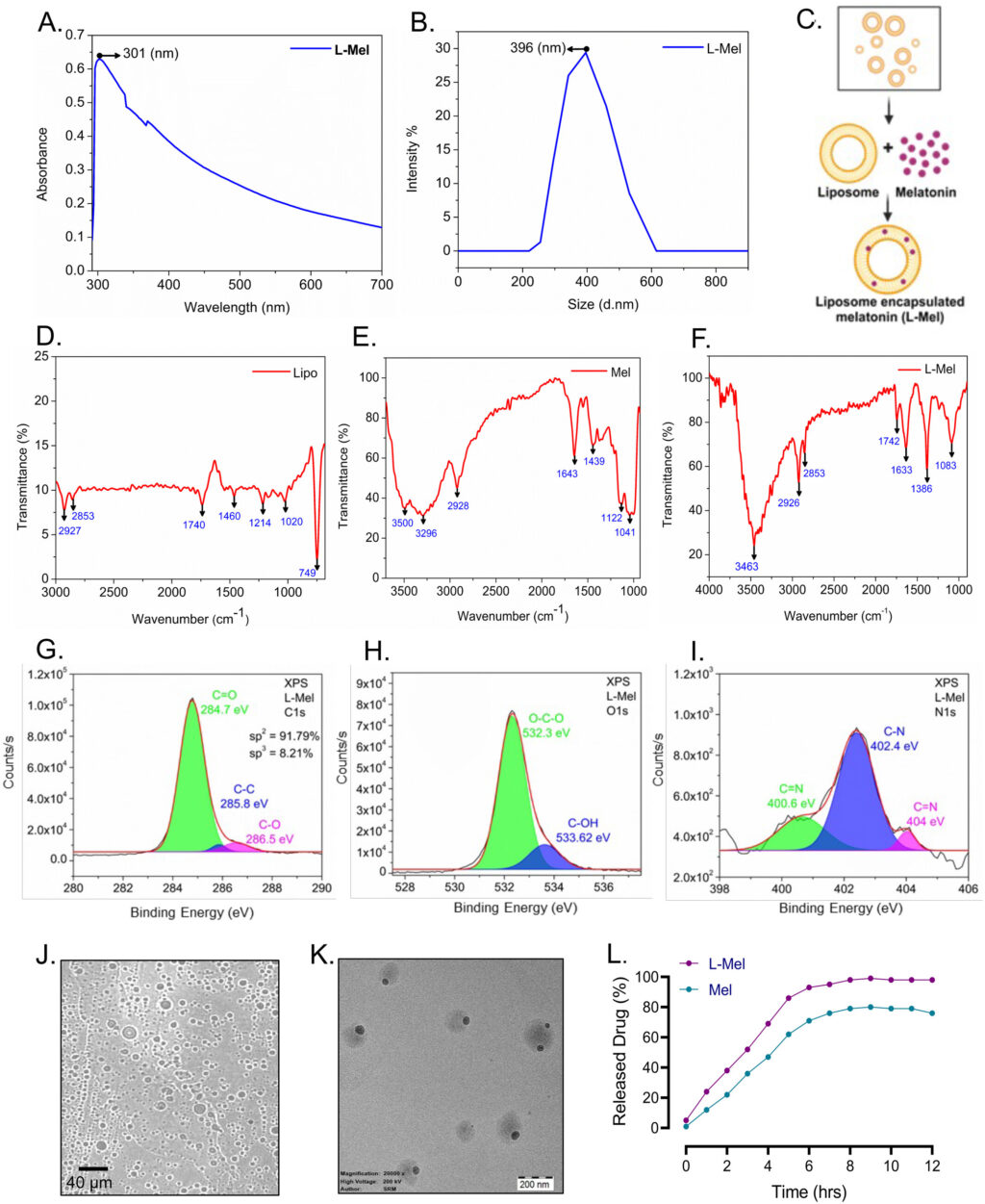jcmm70969-fig-0004-m