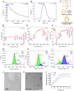 jcmm70969-fig-0004-m