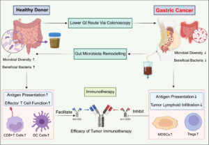 cnr270455-fig-0001-m