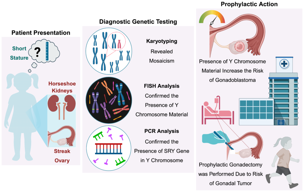 Graphical Abstract