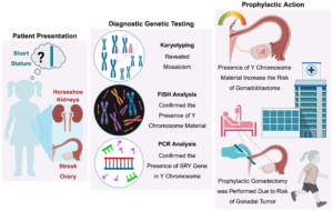 Graphical Abstract