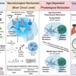 Midlife window: moderate caffeine consumption and reduced dementia risk